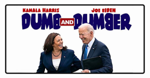 RO Dumb and Dumber