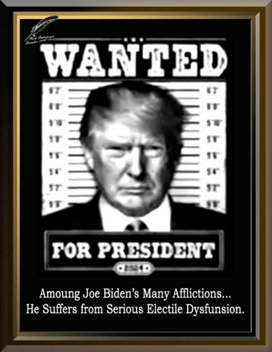 Joe Biden's Electile Dysfunsion