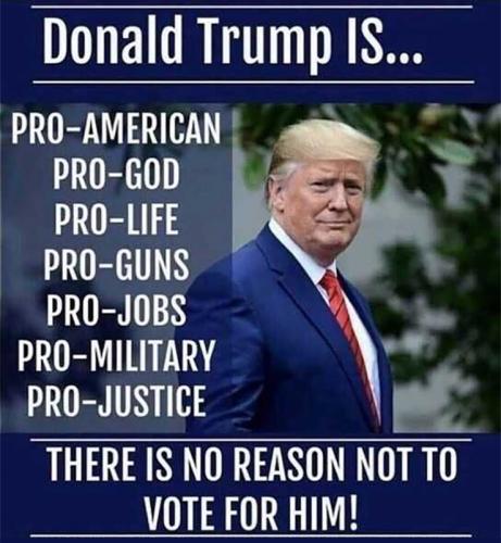 USA Trump pro