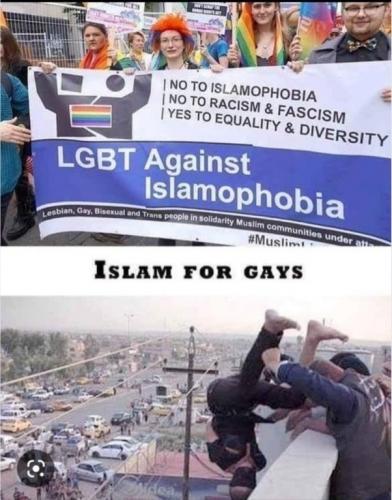 palestine gays 2