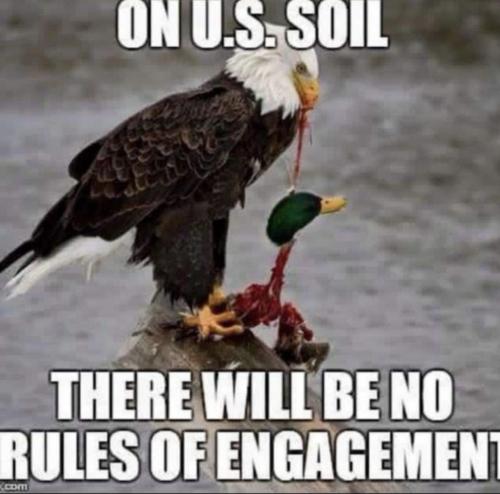 Screenshot_20231113-100639_YouTube