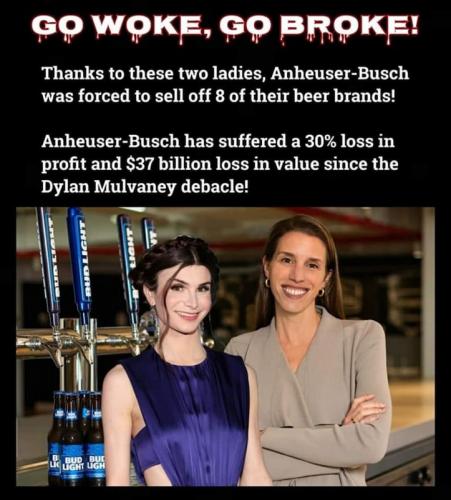 RO Go Woke Go Broke
