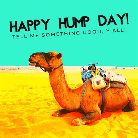 Happy Hump Day1