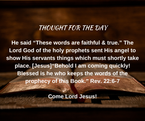 TWEET 11-17-23