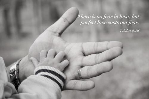 IMG_20231126_081935_103