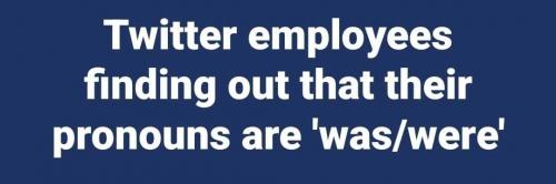 twitter pronouns 1050px