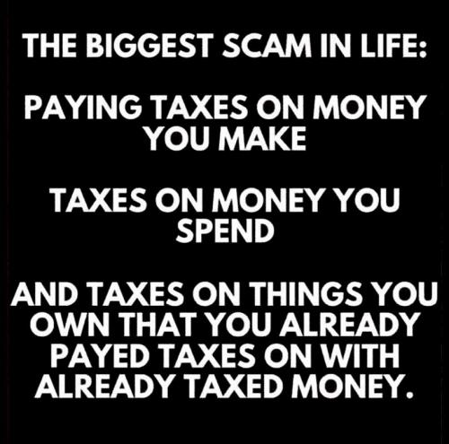 M biggest scam