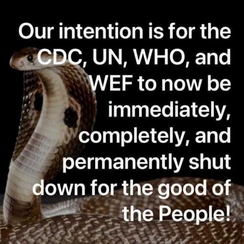 USA intention