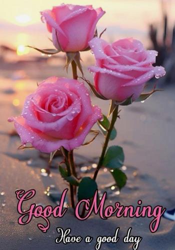 112223 - GM - Have a good day