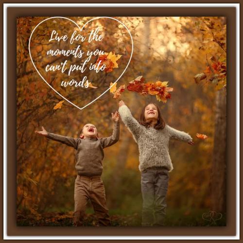 400570253_731010889076359_4160773350227014767_n