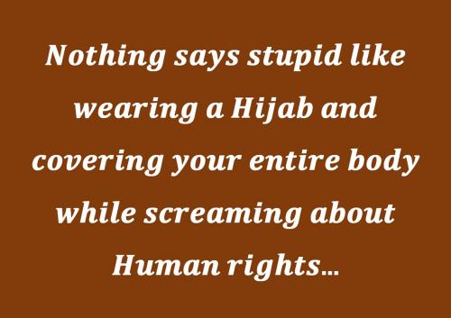 M Human Rights