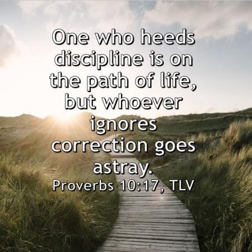 IMG_20231114_081422_860