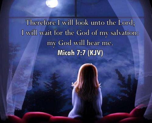 IMG_20231118_132039_778