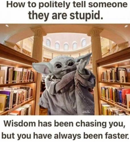 M wisdom