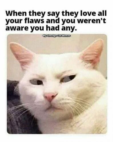 96a8207d98d46fe9.jpeg