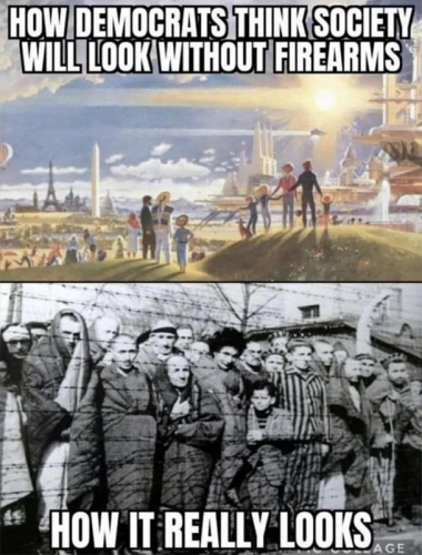 M Dem society