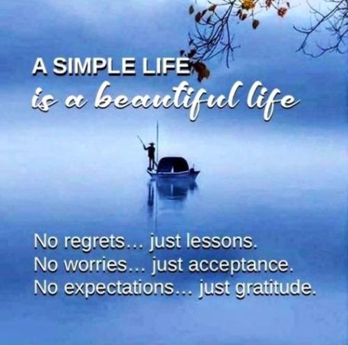 111423 - A simple life