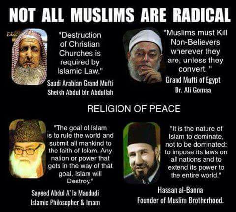 not all muslims are radicals