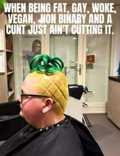 FB_IMG_1701219459706