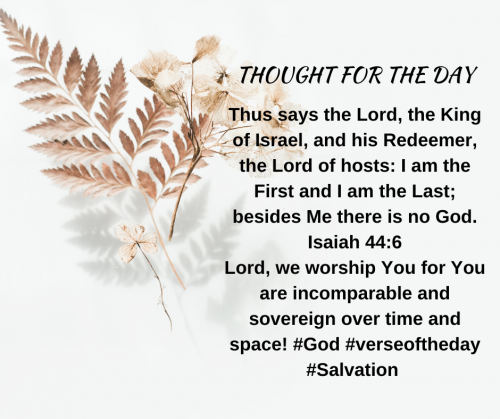 TWEET 11-27-23