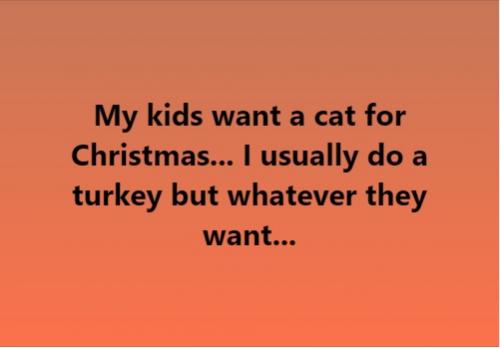 My kids want a cat for Christmas