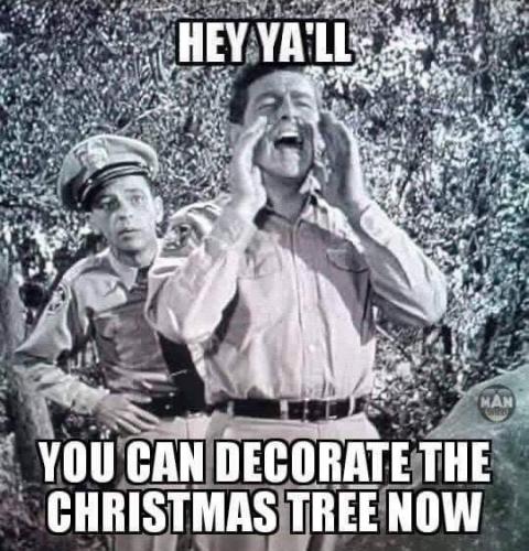 a+big+you+can+decorate+Christmas+tree+now