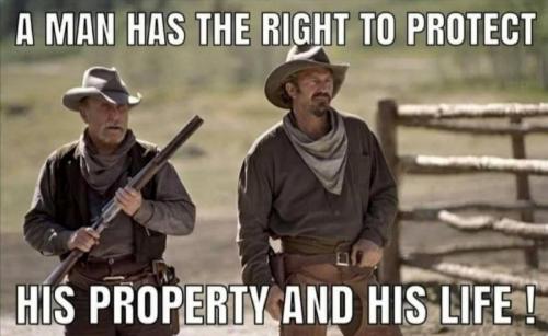 M property life