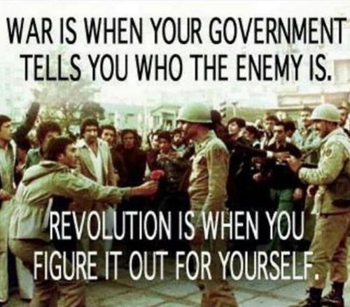 M Revolution