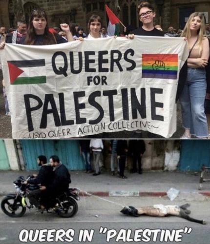 RO queers for Palestine