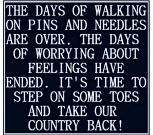 Screenshot_20231129-235039_Brave