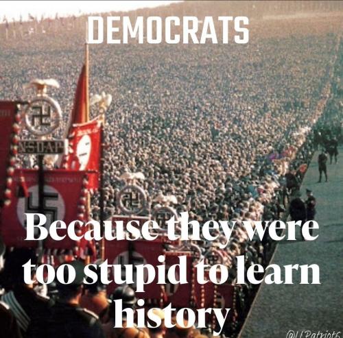 M Dems too stupid