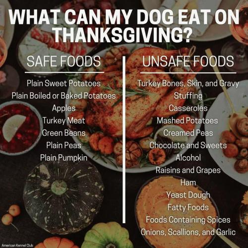 404501933_737248461782328_7940303901293298960_n