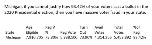 State Fraud 2020 Michigan