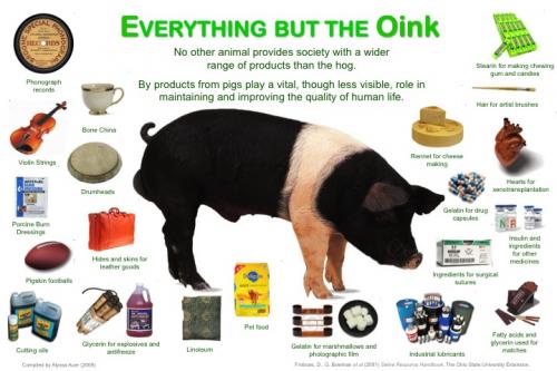 pig   everything-but-the-oink