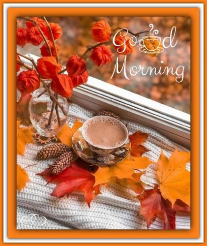 400424778_728296222681159_4890114188982964983_n