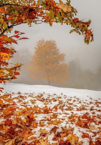 399646705_203177969491287_1162182205063910294_n