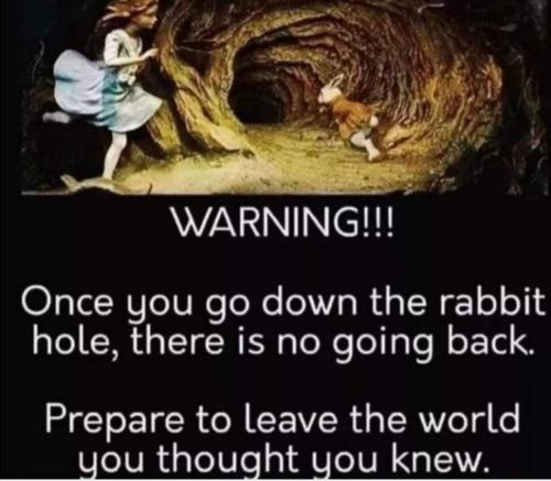 Screenshot_20231124-082034_YouTube