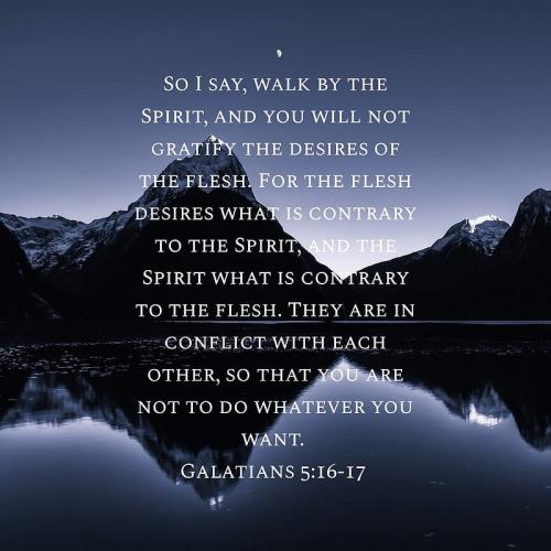 IMG_20231120_071152_430