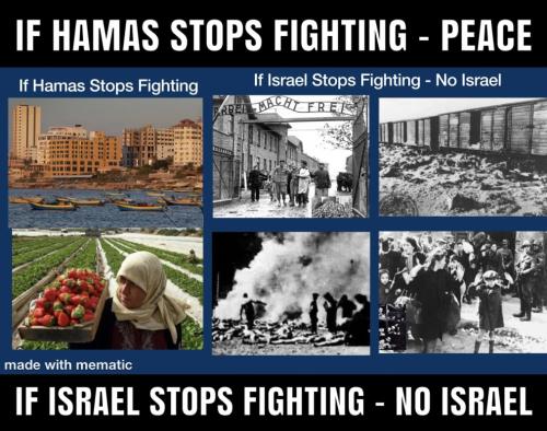 M If Israel stops fighting
