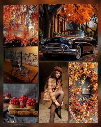 396546350_676404177804577_5992393148091104211_n