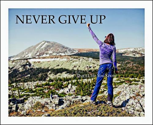 397905866_370029762034193_4427372625626066568_n