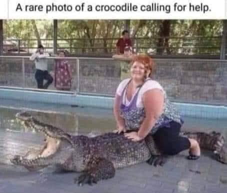 398936521_864506341717437_7525516607853050121_n