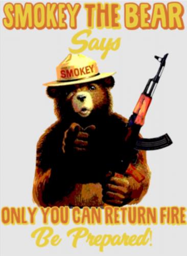 B Smokey Bear