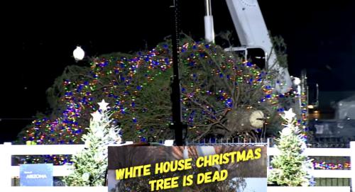 Biden Christmas Tree in 2023 ~1~