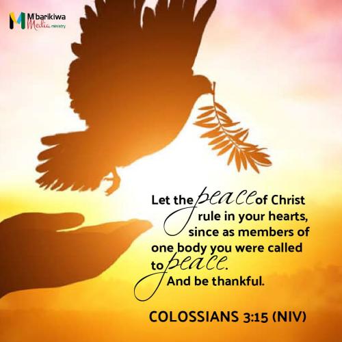 IMG_20231116_080629_220