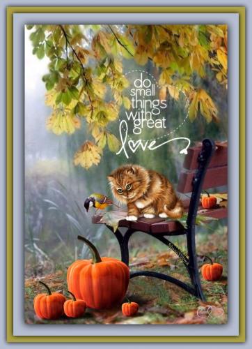 398810055_725377276306387_624270928139237816_n