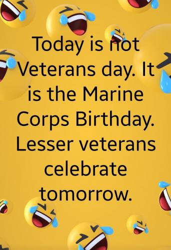 Nov 10 - Lesser veterans celebrate tomorrow