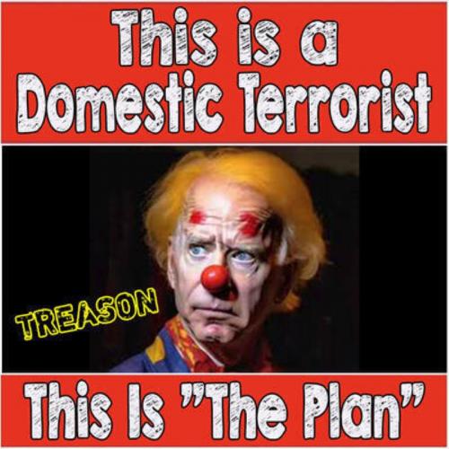 M domestic terrorist