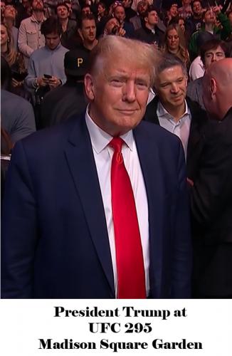 B Pres Trump UFC 295