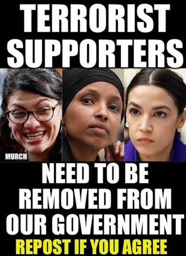 USA terrorist supporters